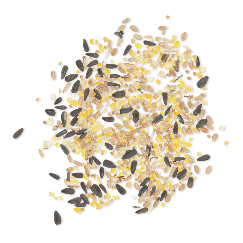 Green+ Streufutter 2,5 kg (biologischer Anbau) | Vogelfutter | CJ Wildlife